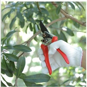 Professional Garden Shears and Pruners, Bypass